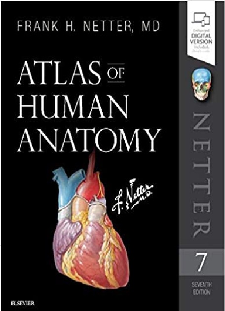 Atlas of Human Anatomy (Netter Basic Science) 7th Edition PDF