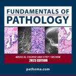 Fundamentals of Pathology Pathoma 2023 PDF