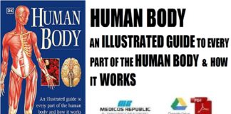 Human Body An Illustrated Guide to Every Part of the Human Body and How It Works PDF