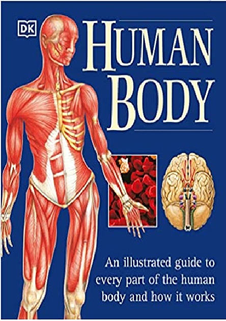 Human Body: An Illustrated Guide to Every Part of the Human Body and How It Works PDF