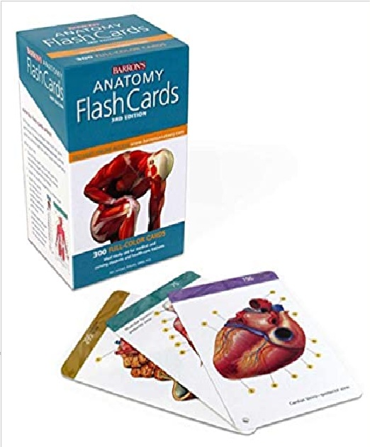 Anatomy Flash Cards (Barron's Test Prep) 3rd Edition PDF