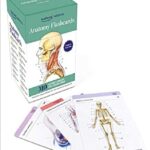 Anatomy Flashcards 4th Edition PDF Free Download