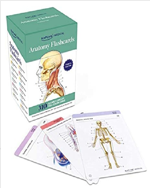 Anatomy Flashcards 4th Edition PDF