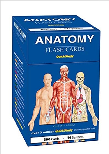 Anatomy (Quickstudy) Cards PDF