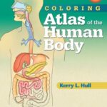 Coloring Atlas of the Human Body