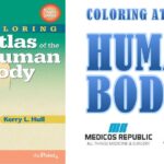 Coloring Atlas of the Human Body PDF Free Download