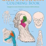 Gray’s Anatomy Coloring Book
