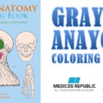 Gray's Anatomy Coloring Book PDF