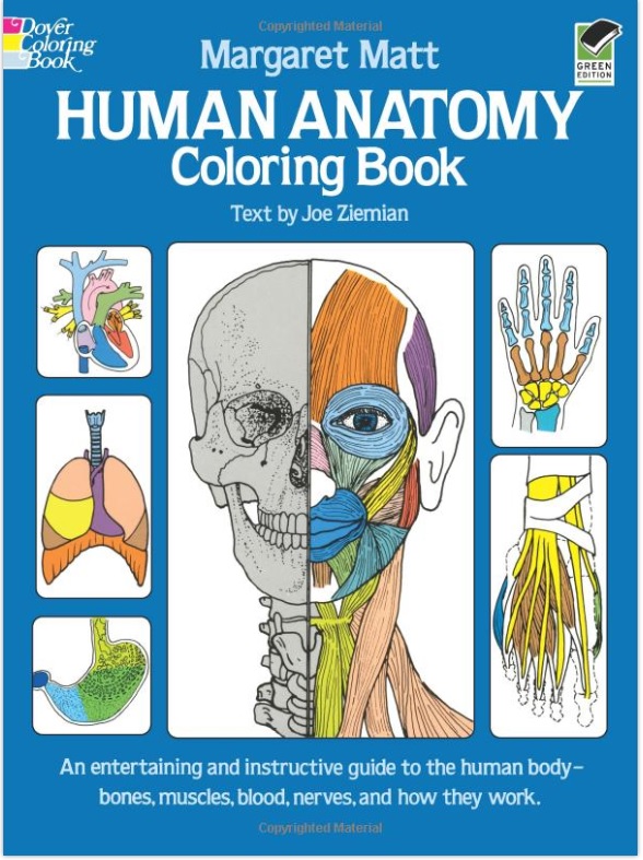 Human Anatomy Coloring Book PDF