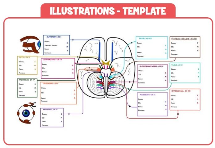 Ninja Sir Notes.pdf Ninja Nerd Notes PDF Free Download (Premium Illustrations)