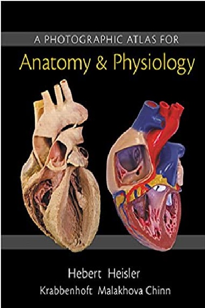 Photographic Atlas for Anatomy & Physiology 1st Edition PDF