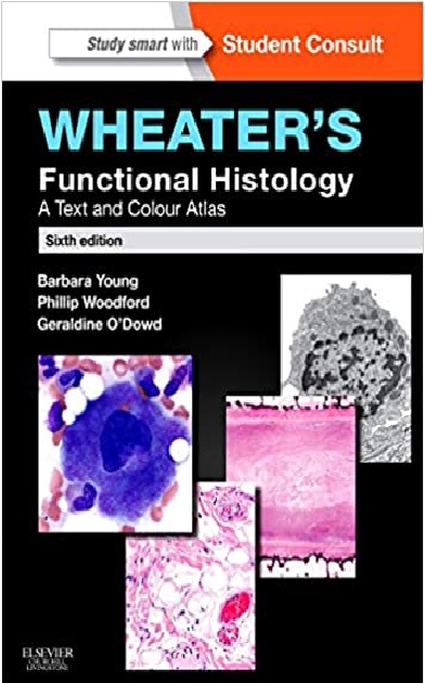 Wheater's Functional Histology: A Text and Colour Atlas 6th Edition PDF