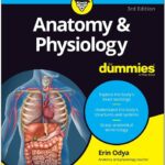 Anatomy & Physiology For Dummies PDF