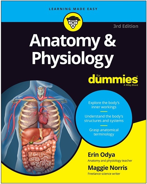 Anatomy & Physiology For Dummies PDF