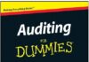 Auditing For Dummies PDF