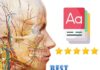 Best Anatomy Flashcards For Medical Students