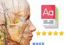 Best Anatomy Flashcards For Medical Students