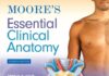 Moore's Essential Clinical Anatomy 7th Edition PDF