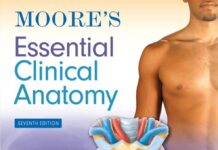 Moore's Essential Clinical Anatomy 7th Edition PDF