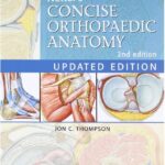 Netter's Concise Orthopaedic Anatomy PDF