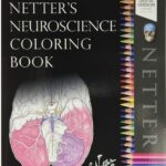 Netter's Neuroscience Coloring Book PDF