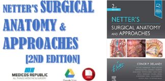 Netter's Surgical Anatomy and Approaches 2nd Edition PDF