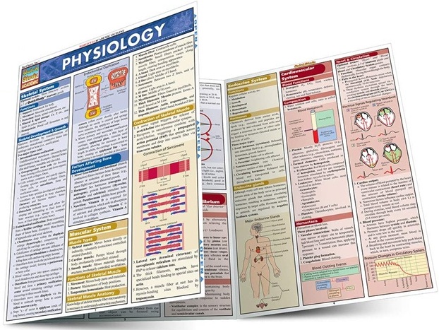 Physiology (Quick Study Academic) PDF