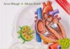 Ross & Wilson Anatomy and Physiology in Health and Illness PDF
