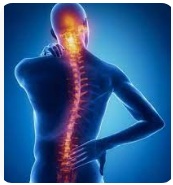 Spinal cord injuries