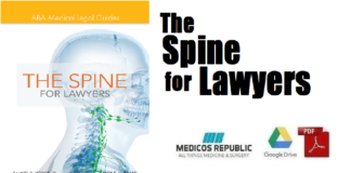 The Spine for Lawyers ABA Medical-Legal Guides 1st Edition PDF