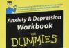 Anxiety and Depression Workbook For Dummies PDF
