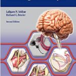 Atlas of Neurosurgical Techniques: Brain 2nd Edition PDF