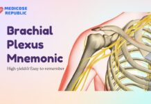 Brachial Plexus Mnemonic