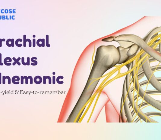 Brachial Plexus Mnemonic