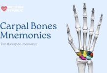 Carpal Bones Mnemonic