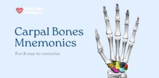 Carpal Bones Mnemonic
