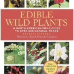 Edible Wild Plants PDF