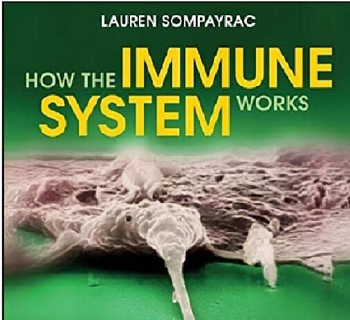 How the Immune System Works 6th Edition PDF