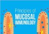 Principles of Mucosal Immunology 2nd Edition PDF
