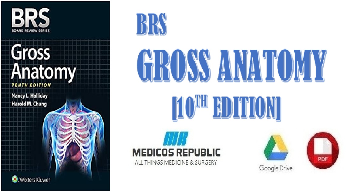 BRS Gross Anatomy (Board Review Series) 10th Edition PDF