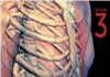 Mosby's Anatomy & Physiology Study and Review Cards 3rd Edition PDF