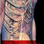 Mosby's Anatomy & Physiology Study and Review Cards 3rd Edition PDF