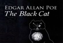 The Black Cat PDF
