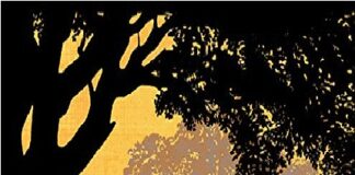 East of Eden PDF