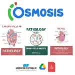Osmosis Notes PDF