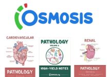 Osmosis Notes PDF