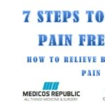 7 Steps to a Pain-Free Life How to Rapidly Relieve Back and Neck Pain PDF