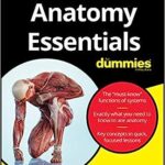 Anatomy Essentials For Dummies 1st Edition PDF