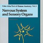 Colour Atlas and Textbook of Human Anatomy Nervous System and Sensory Organs Volume 3 PDF