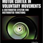 Motor Cortex in Voluntary Movements A Distributed System for Distributed Functions 1st Edition PDF